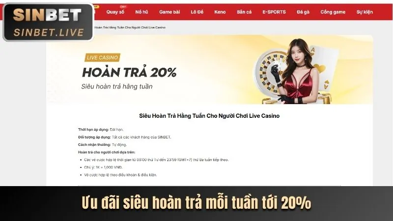Tin tức thị trường cá cược trực tuyến Việt Nam